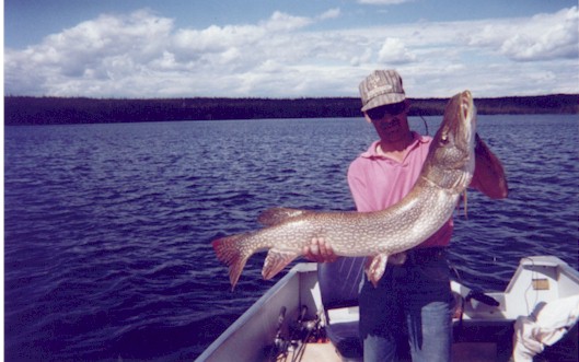 48northern.jpg (54267 bytes)