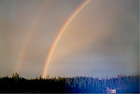 gallery4.jpg (28831 bytes)