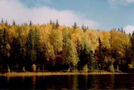 gallery5.jpg (48203 bytes)