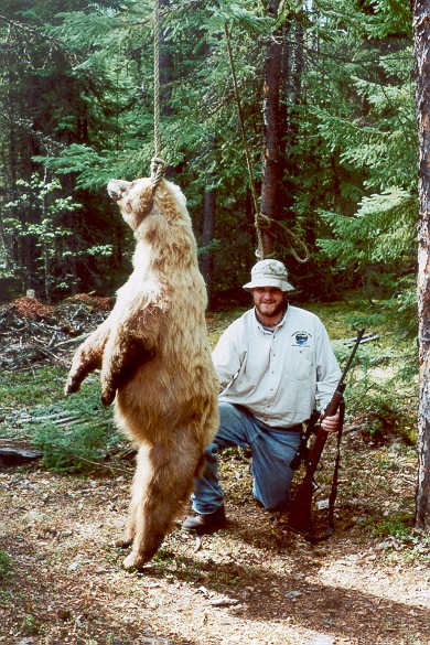 one_angry_bear.jpg (137174 bytes)